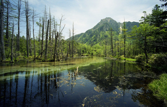 c0054876_18221619.jpg