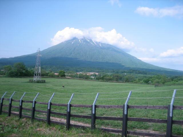 b0097183_08515.jpg