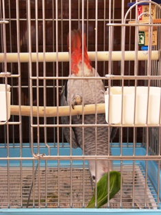 c0118496_21211045.jpg