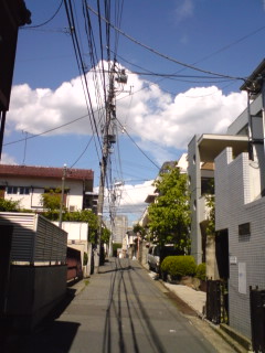 d0083296_17365768.jpg