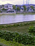 b0060499_1912923.jpg