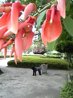 c0037701_912349.jpg