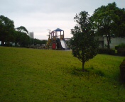 e0063902_2223825.jpg