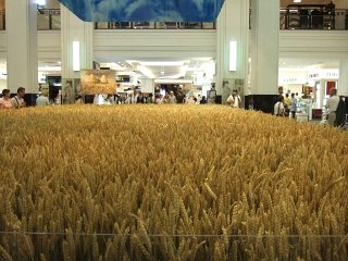 f0141507_17552542.jpg