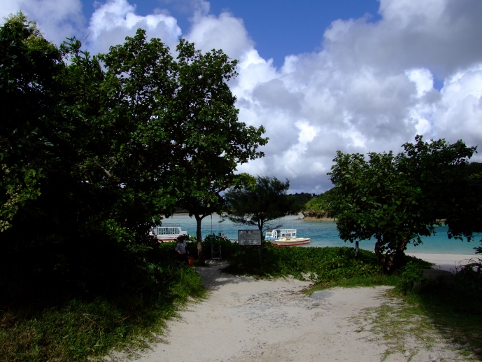 d0089110_0342788.jpg