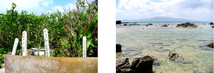 沖縄編 17 嘉弥真島 05 8 散歩の変人 沖縄編 17 嘉弥真島 05 8 散歩の変人