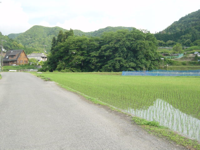 ６月議会2日目の議論から_c0036831_1056645.jpg