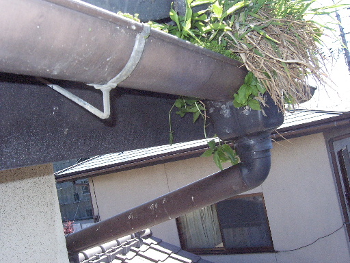 f0031037_2112873.jpg