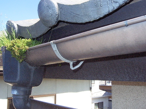 f0031037_2114014.jpg