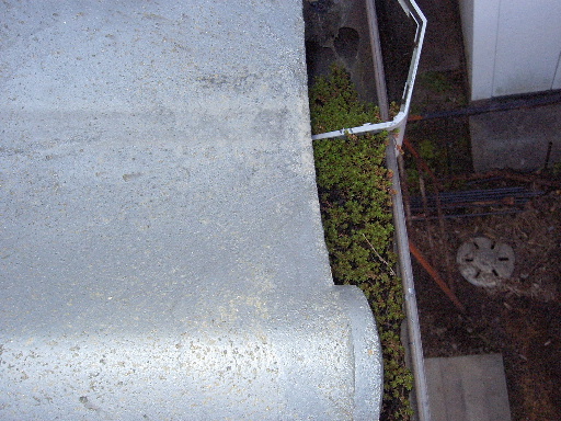 f0031037_211785.jpg
