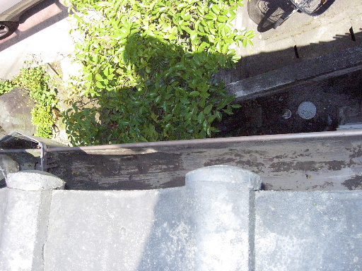 f0031037_212532.jpg