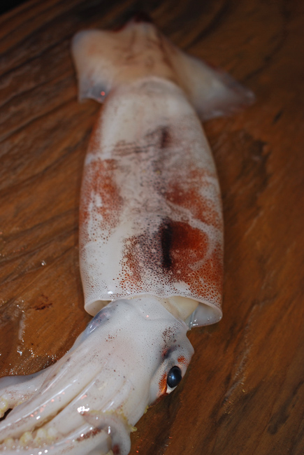 イカの捌き方 第一弾 烏賊の皮を剥くまでを紹介します 魚屋三代目日記