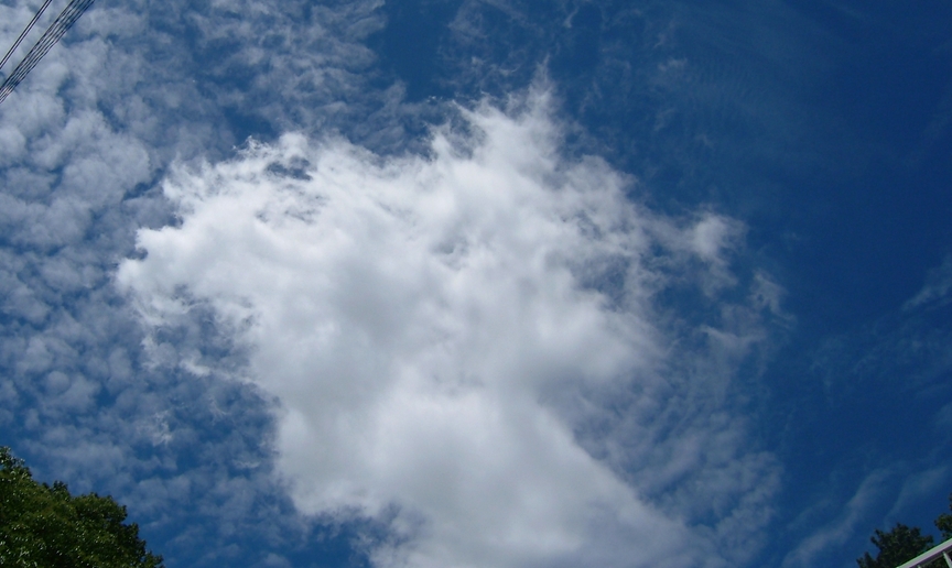 夏の空・夏の雲_e0110145_10543536.jpg