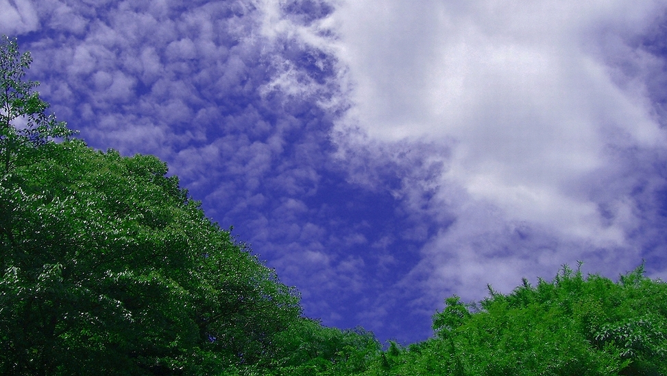 夏の空・夏の雲_e0110145_10551993.jpg