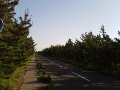 a0096557_954038.jpg