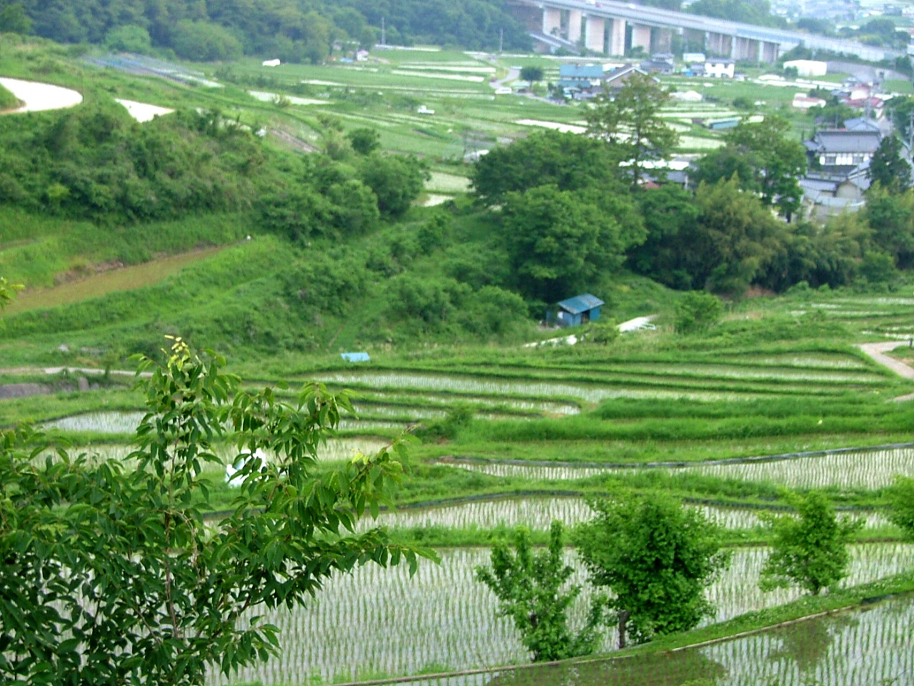 e0064158_2354196.jpg