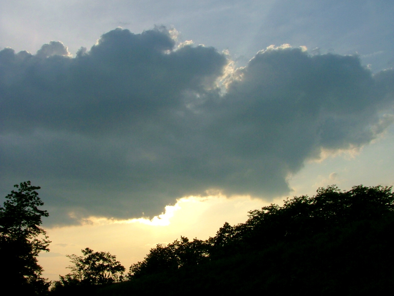 e0064158_2402719.jpg