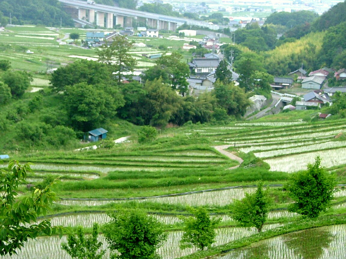 e0064158_2451860.jpg