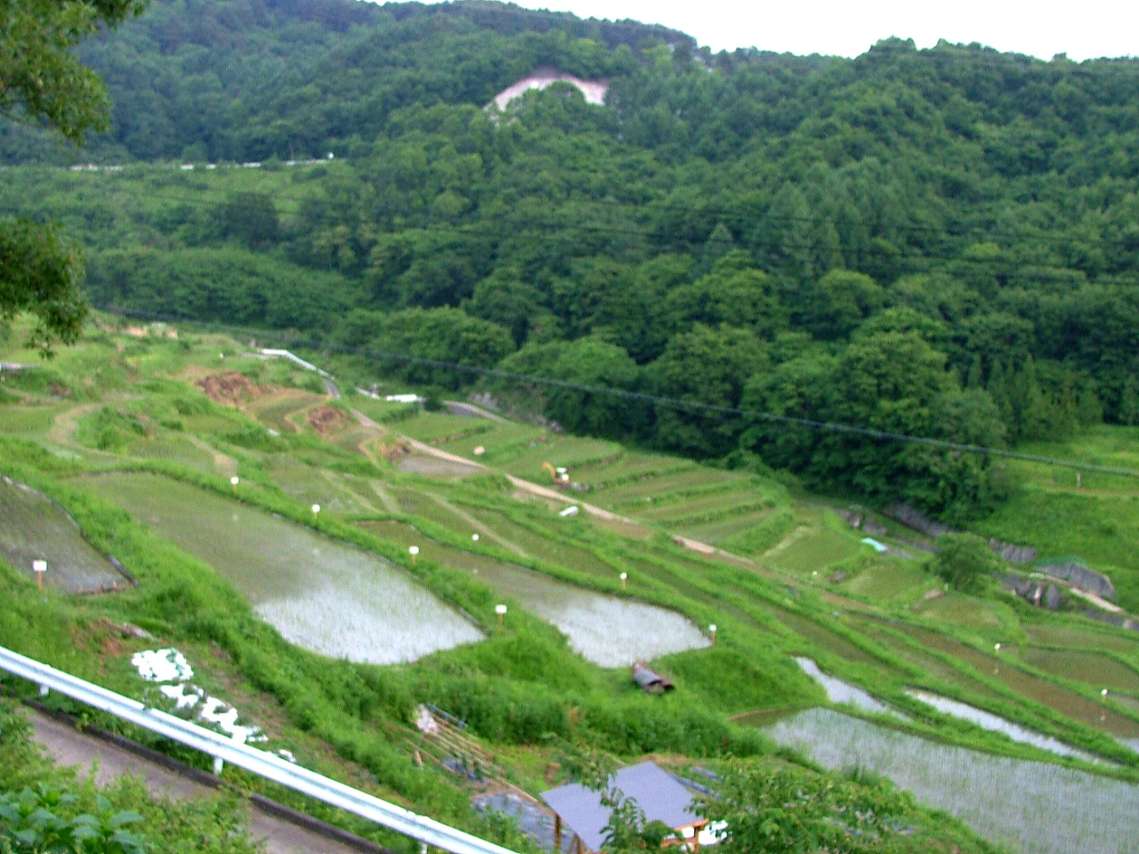e0064158_246060.jpg