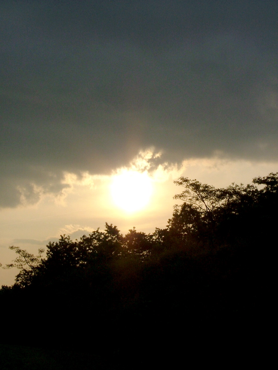 e0064158_2534721.jpg