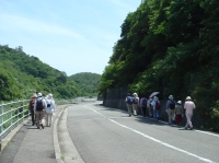 c0108460_2323227.jpg