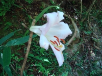 c0108460_23412846.jpg