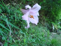 c0108460_23423315.jpg