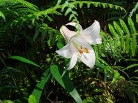 c0108460_2343613.jpg