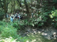c0108460_2385699.jpg
