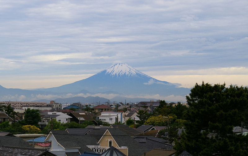 富士山とベランダの花と実_c0087863_913284.jpg