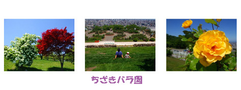 f0126363_15434410.jpg