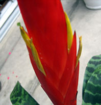 f0084573_22192091.jpg