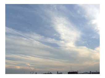 c0095679_2185662.gif