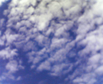d0056881_07452.jpg