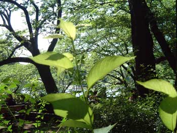 c0086185_20174438.jpg