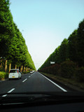 d0073690_255060.jpg