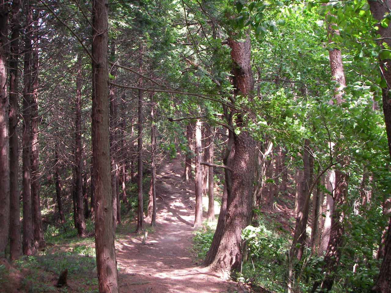 f0100593_17182198.jpg