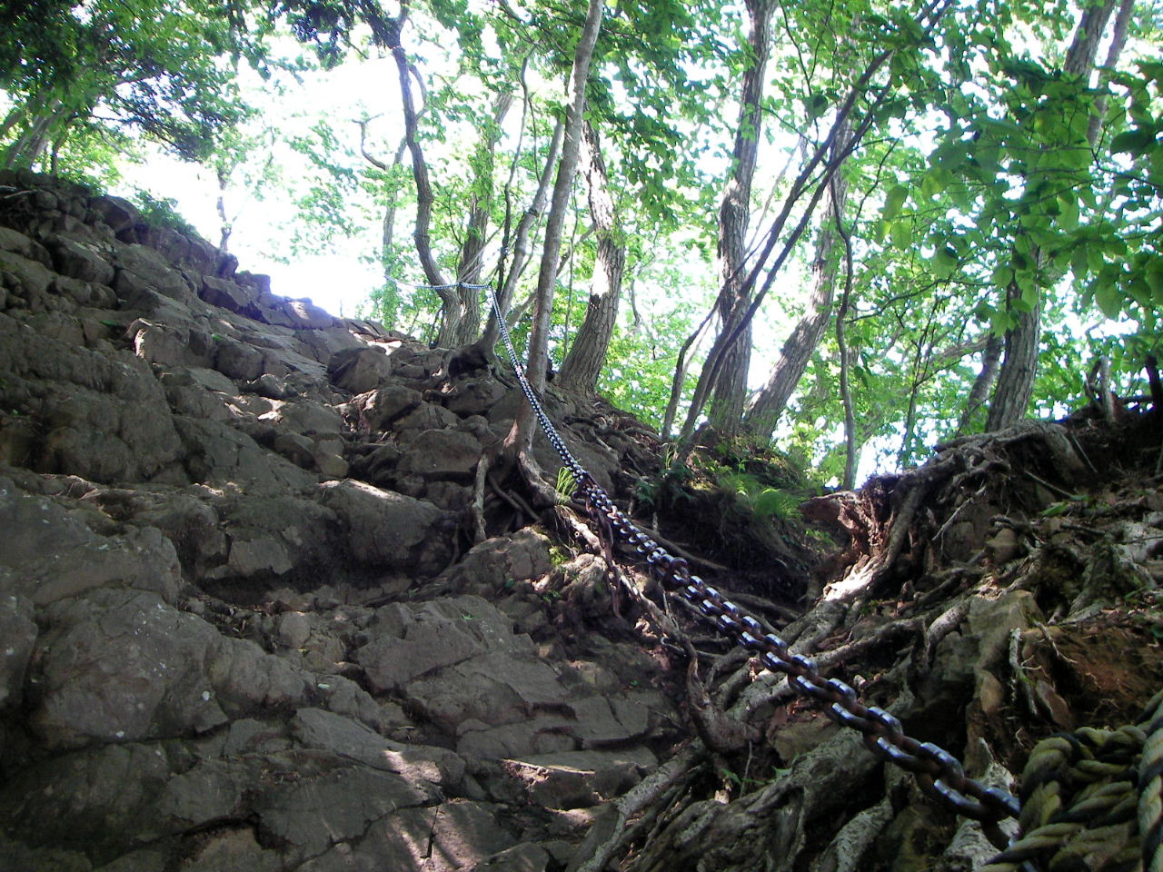 f0100593_17193762.jpg