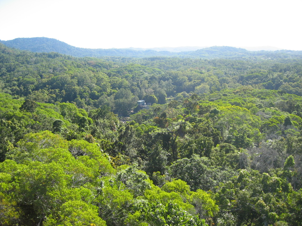 Cairns_c0124202_23584922.jpg