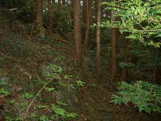 c0051112_10485680.jpg