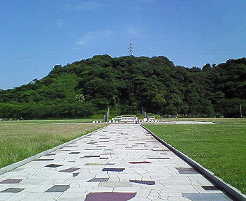 d0065116_16495025.jpg