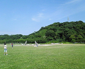 d0065116_1650271.jpg