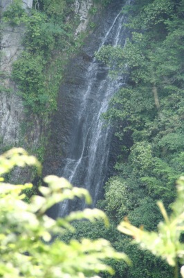 d0055236_10182370.jpg