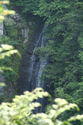 d0055236_1033335.jpg