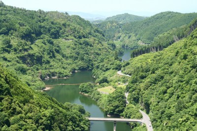 d0055236_10335961.jpg