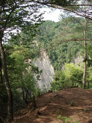 d0055236_11101145.jpg
