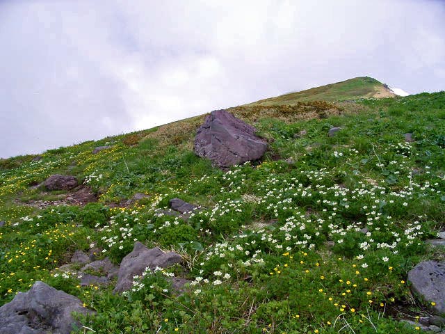 f0020336_20493487.jpg
