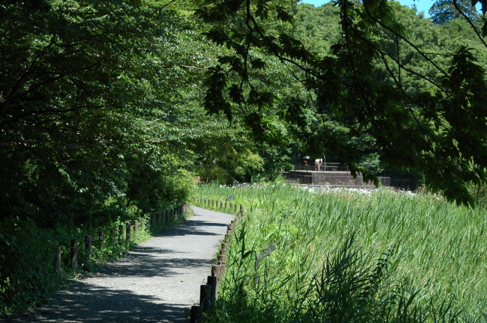 神代植物公園の別公園？_e0095142_7552066.jpg