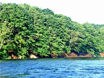 d0075843_13262929.jpg