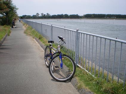 b0055247_18423314.jpg